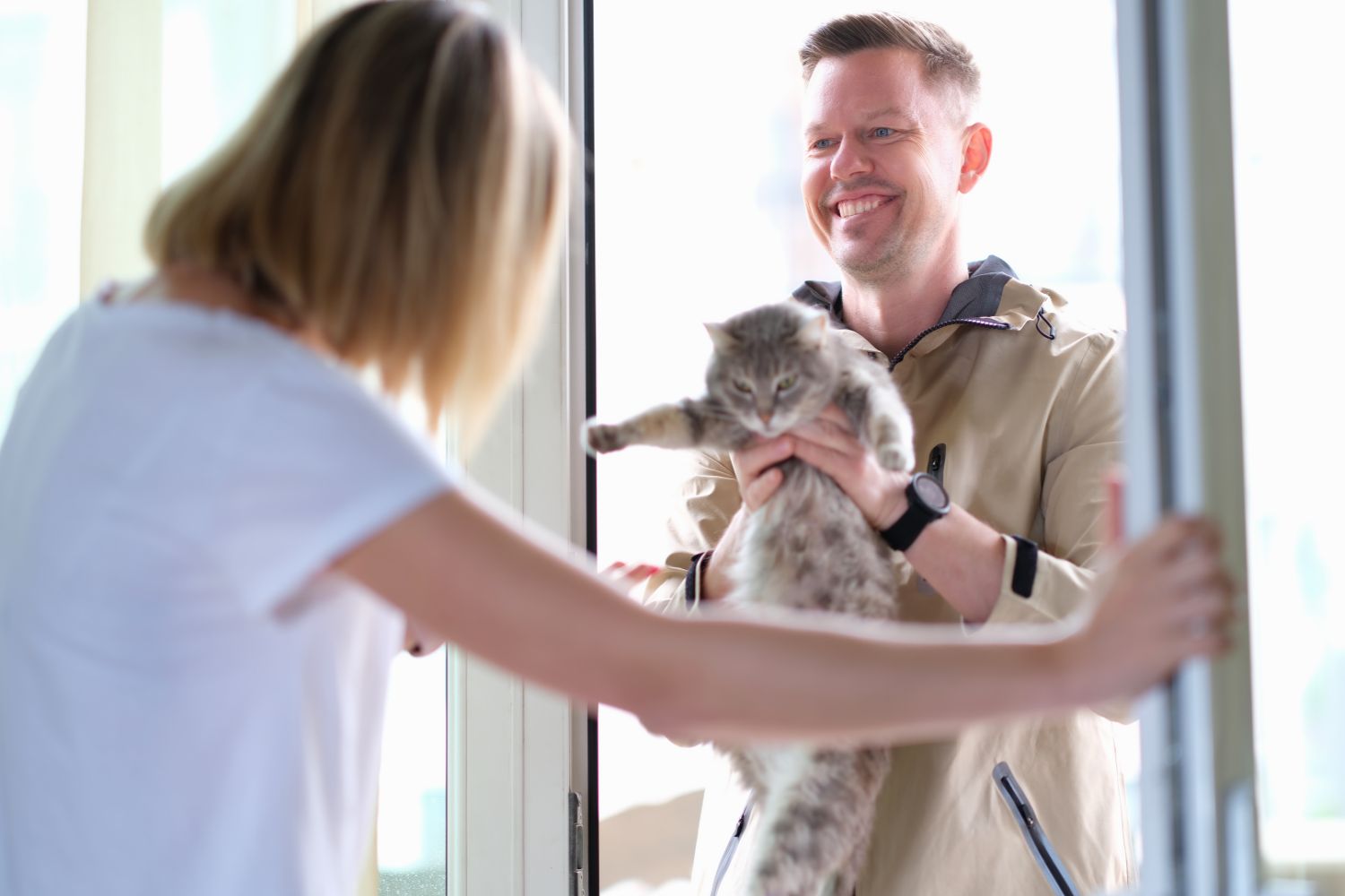 Implantat für Katzen Die besten GPSTracker ohne Implantat