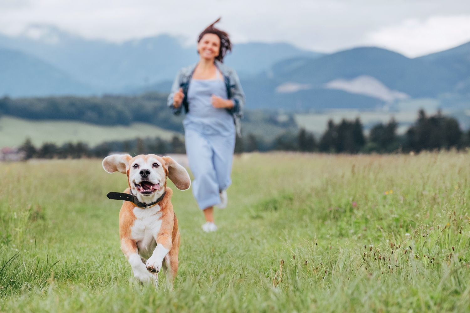 Hundebesitzer aufgepasst: Ihr vierbeiniger Freund könnte Ihr Leben verlängern!