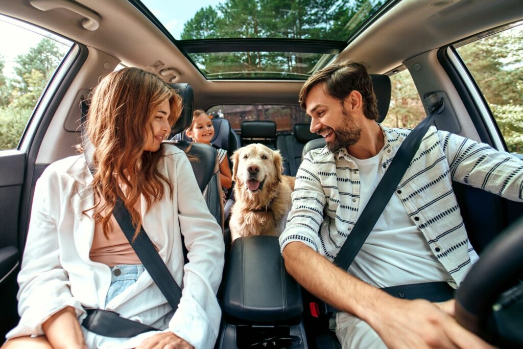 Reise mit Haustier im Auto
