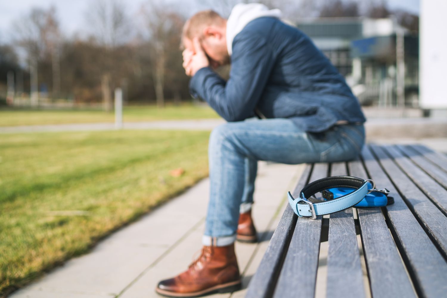 Haustier vermisst! 7 Tipps um zu verhindern, dass Ihr Vierbeiner verloren geht