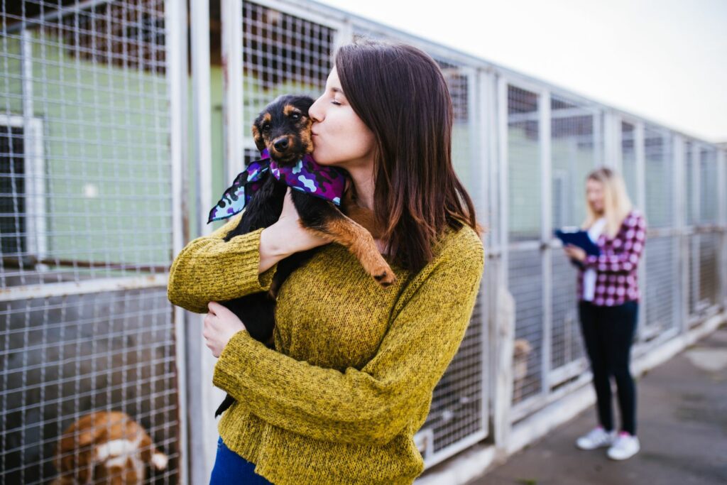 Hund adoptieren: im Tierheim