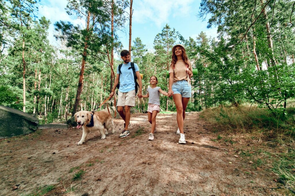 Wandern mit Hund: Training mit Familie