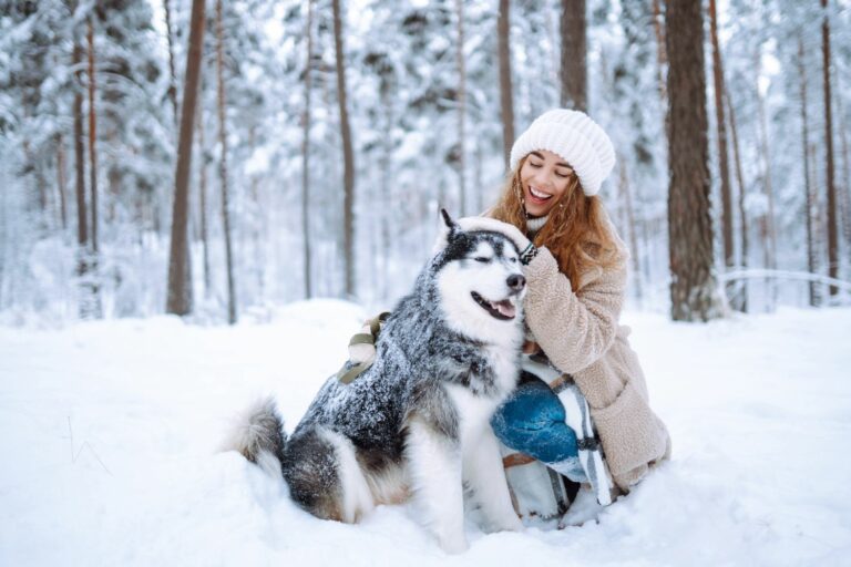 Winterspaziergang mit Hund