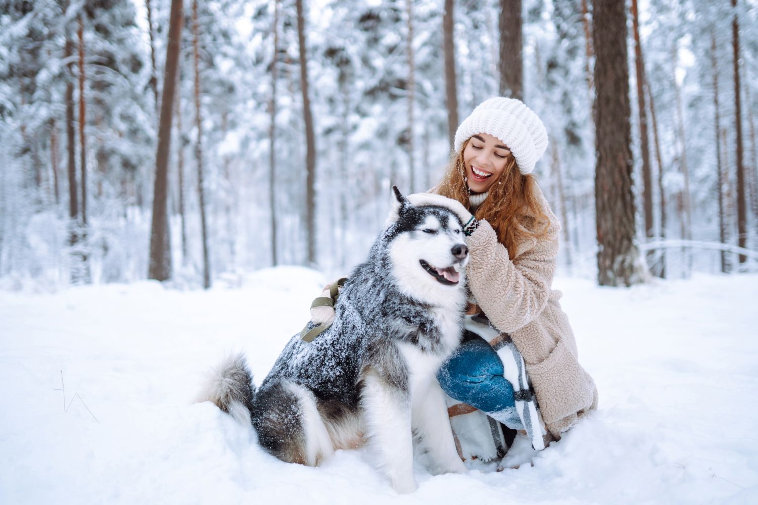 Winterspaziergang mit Hund: Sicher und gesund Gassigehen in der Kälte