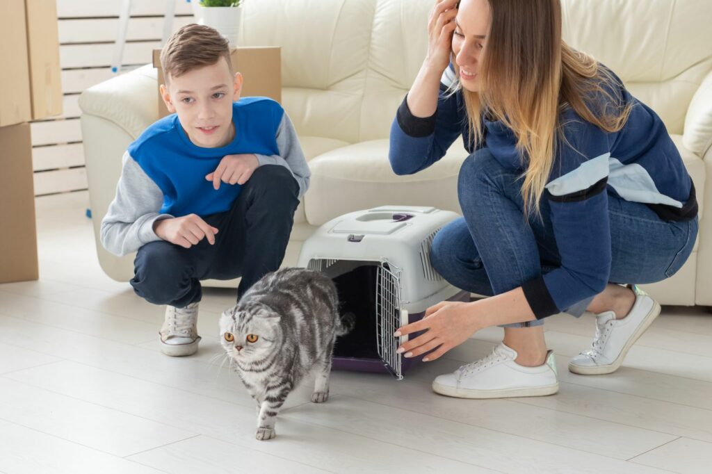 Erstausstattung Katze: Einführung