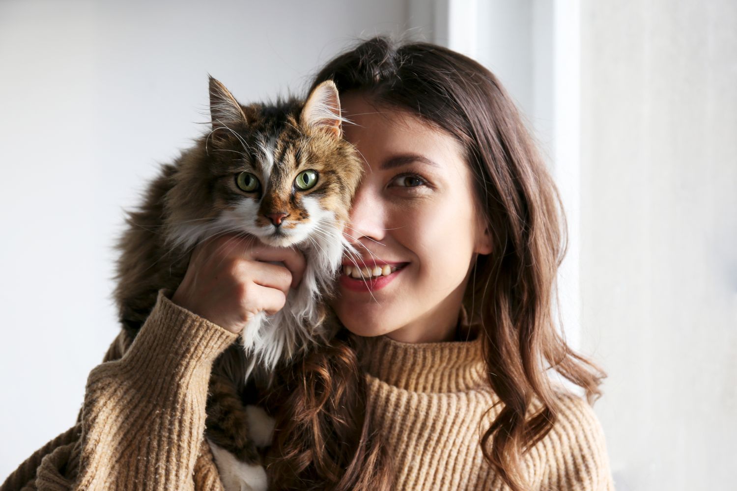 Die perfekte Erstausstattung für Ihre neue Katze: Die komplette Checkliste für neue Katzeneltern