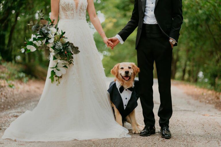 Haustiere auf Hochzeiten