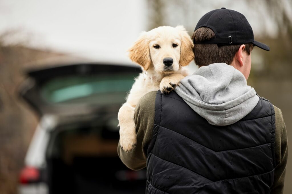 Hundediebstahl: Motive